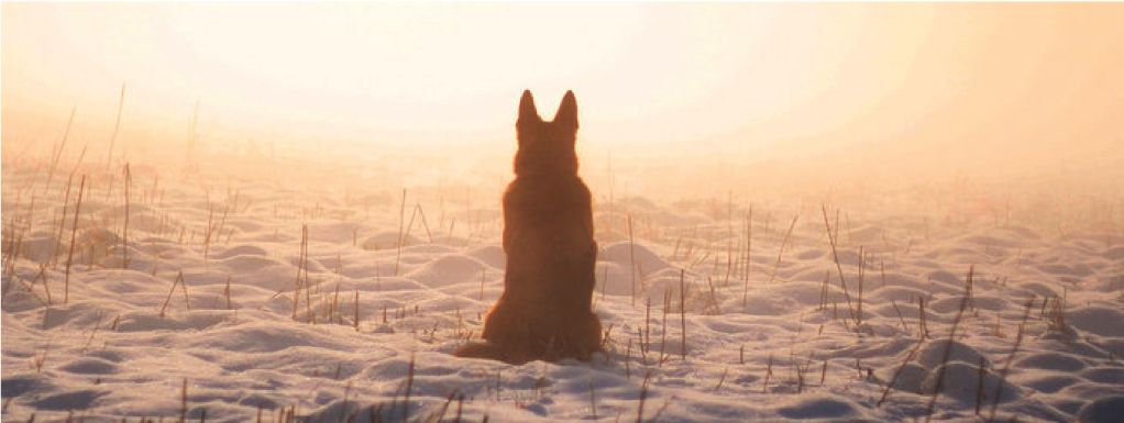 Bootstrap Touch Slider